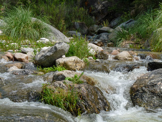 Little mountain stream