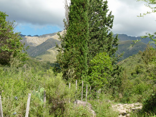 Rural walk in the valley
