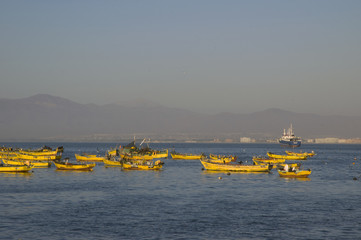 Fototapeta premium Puerto de Coquimbo Chile Sudamerica conjunto de botes pesqueros Artesanales