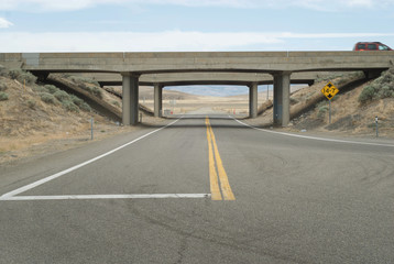 An underpass of some desert highway.