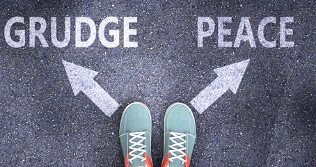 Grudge and peace as different choices in life - pictured as words Grudge, peace on a road to symbolize making decision and picking either Grudge or peace as an option, 3d illustration