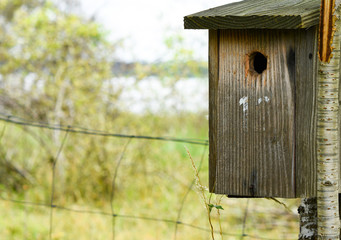 wooden bird house