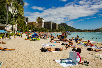 Waikiki, Hawaii;  Waikiki, Hawaii;  Sun bathers and swimmers on the beach in front of major hotels...