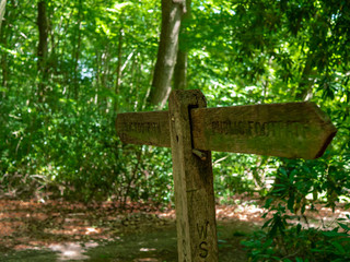 Public footpath sign in the woods 