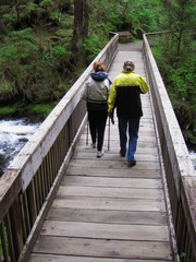 Two people walking across bridge in Alaska