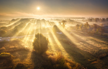 Aerial view of village in fog with golden sunbeams at sunrise in autumn. Beautiful rural landscape with road, buildings, foggy colorful trees, church, orange sky with sun. Fall in Ukraine. Top view