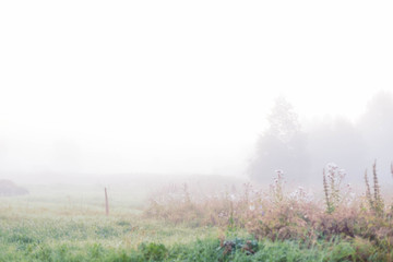 Obraz na płótnie Canvas Rural landscape on a early foggy morning in the village.