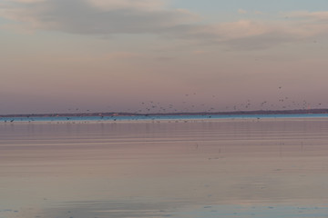 beach at dusk