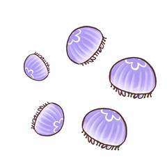 R:もっとメルヘンな水族館 ミズクラゲ いっぱい１