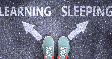 Learning and sleeping as different choices in life - pictured as words Learning, sleeping on a road to symbolize making decision and picking either Learning or sleeping as an option, 3d illustration