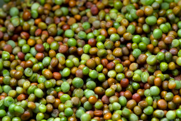 Selective focus background Komatsuna japanese green seeds red and green natural vibrant colors.