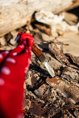 Knife and bandana on a tree in the dessert