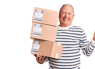 Senior handsome grey-haired man holding delivery boxes celebrating victory with happy smile and winner expression with raised hands