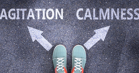 Agitation and calmness as different choices in life - pictured as words Agitation, calmness on a road to symbolize making decision and picking either one as an option, 3d illustration