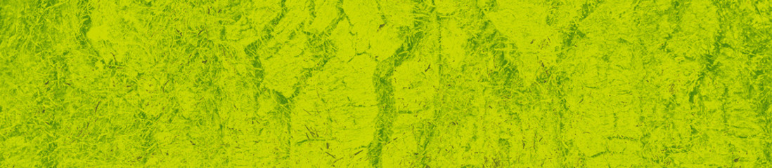 abstract lime and green colors background for design