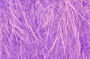 abstract violet; pink and purple colors background for design