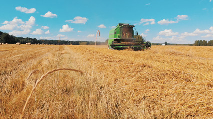 Obraz premium Modern combine harvester working on the field. low angle shot. High quality photo