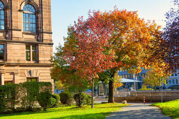 Naklejka premium Multicolored Autumn in the city . Pathway in the urban park