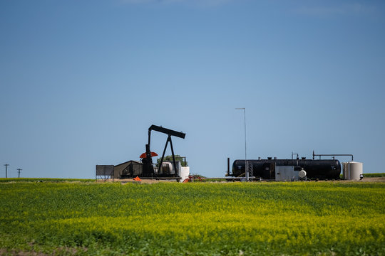 Oil derricks in the barley fields along the highways of Eastern Alberta Canada