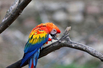 En attente du prince