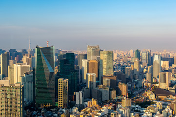 Obraz premium 東京都港区六本木の高層ビルの展望台から見た夕方の東京の都市景観