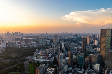 Obraz premium 東京都港区六本木の高層ビルの展望台から見た夕方の東京の都市景観