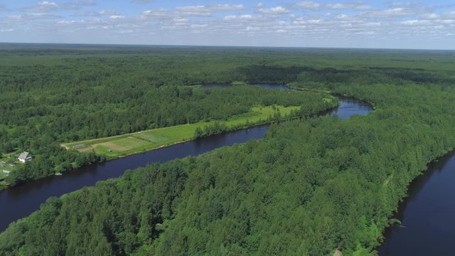 Aerial view over river and green valley near countryside houses. Shot. Beautiful narrow river curving through fields surrounded by pine tree forest.