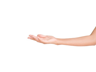 Fototapeta premium Hand woman palm up isolated on white background.