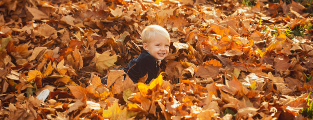 Child boy lying on autumn leaves, yellow leaf fall background, panorama.