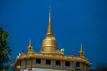Naklejka premium The natural background of green rice paddies and large trees surrounded by cool breezes, seen in rural tourist attractions.