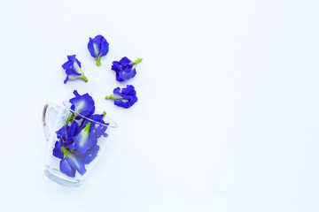 Blue butterfly pea flower in glass cup on white background. Top view