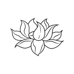 Outline of lotus on white background. Vector illustration