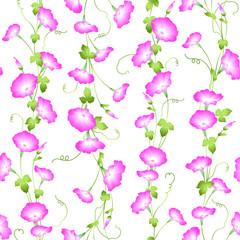 Seamless pattern of a Japanese-style, beautiful morning glory