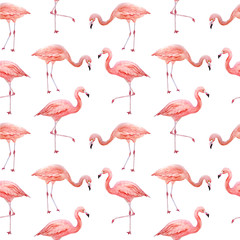 Seamless pattern of pink flamingo. Tropical exotic bird rose flamingos isolated on white background. Watercolor hand drawn realistic animal illustration. Summer bird wildlife. Print for wrapping paper