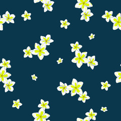 Plumeria Flower Hawaiian Floral Pattern On Blue Background. Tropical Flower Seamless repeat patterns