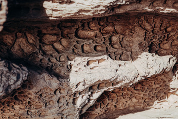 A porous texture stone, eroded by erosion. Beautiful and memorable rock by the sea.