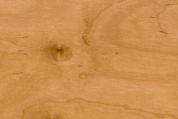 background of Birch wood surface