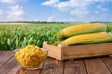 corn cobs and canned seeds in glass bowl