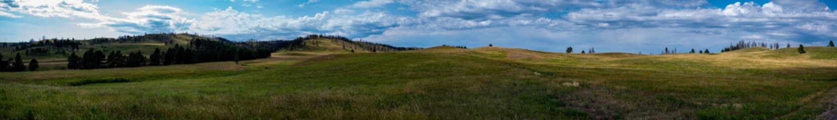 Obraz premium Panoramic open grassland prairie at Custer State Park in South Dakota, USA