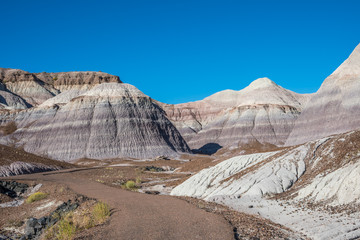 The Blue Mesa Trail in Petrified Forest National Park, Arizona