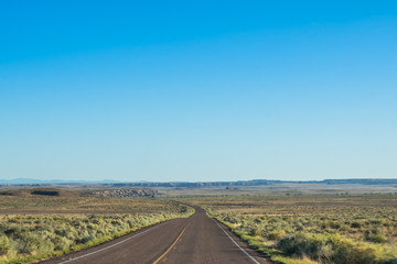 Fototapeta na wymiar A long way down the road of Petrified Forest National Park, Arizona