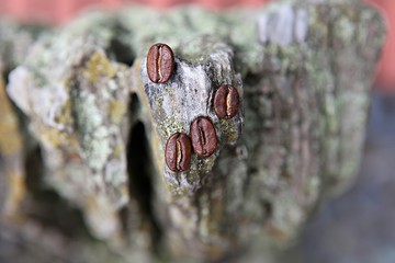 한국 인천시 인천대공원 입니다