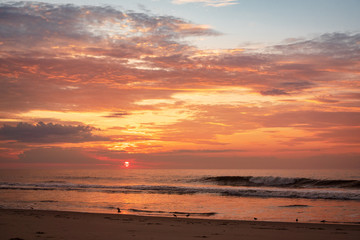Obraz premium Sunrise on the coast in Assateague state park