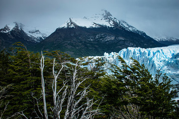 Glaciar Perito Moreno