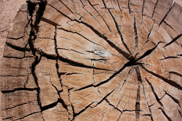 wood, tronco con zurcos