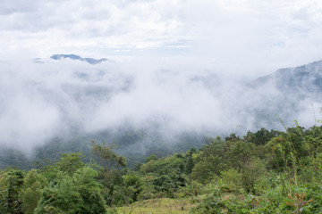Fog in the mountains with Petchabun , Thailand