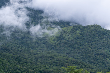 Fototapeta na wymiar Fog in the mountains with Petchabun , Thailand