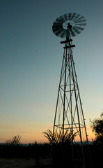Papalote, molino de viento