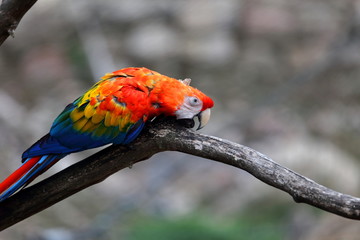 Tentative d'evasion !