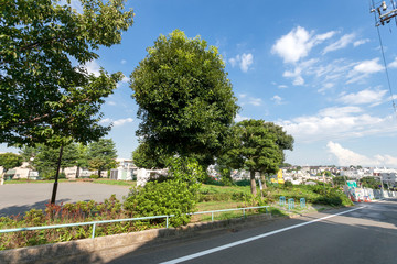 たちばな台第三公園（横浜市青葉区）